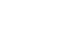 Logo Lavio